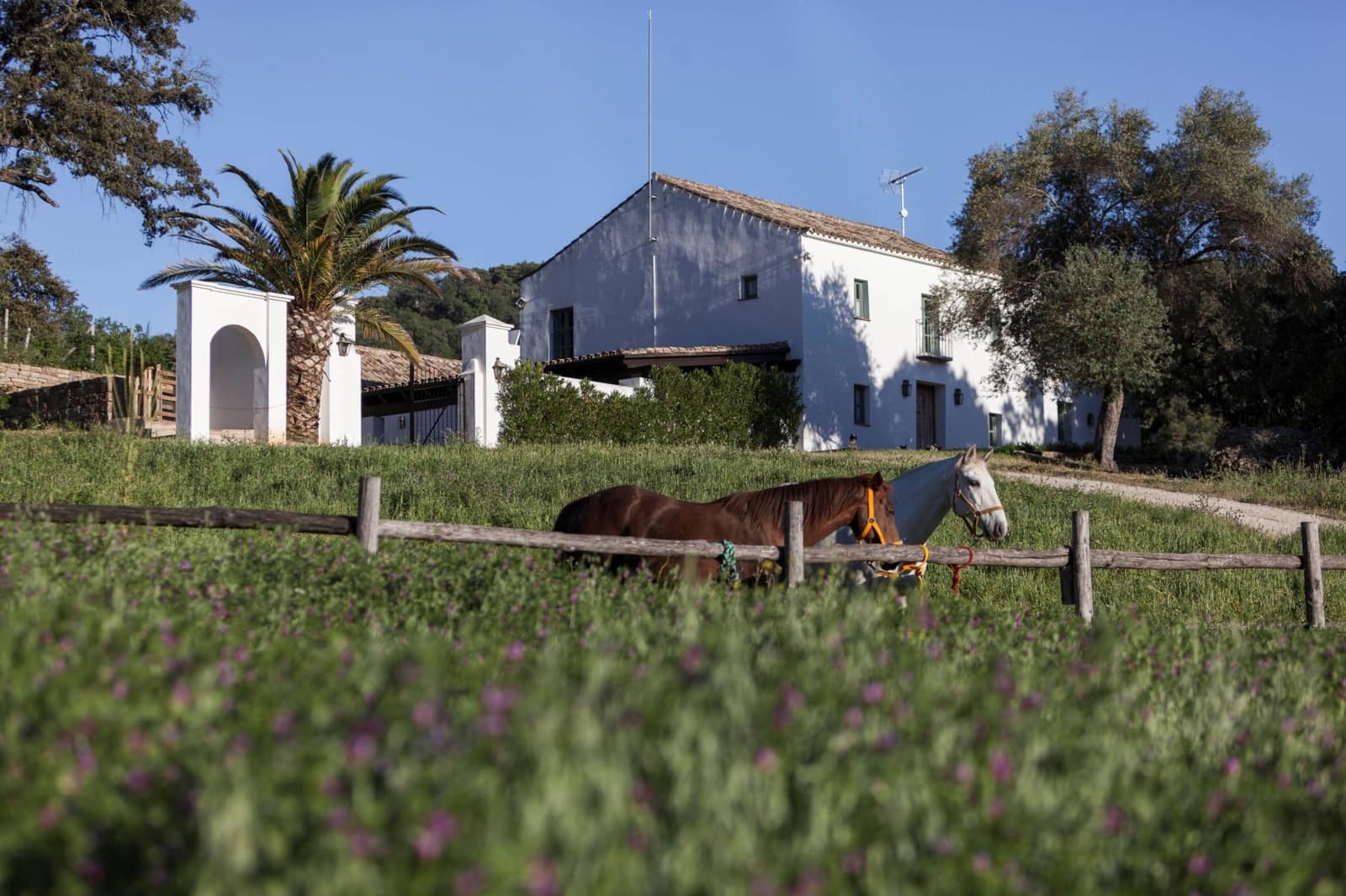 4 camera da letto Finca/Casa di Campagna in vendita in Gaucin con piscina - 3.950.000 € (Rif: 9392067)