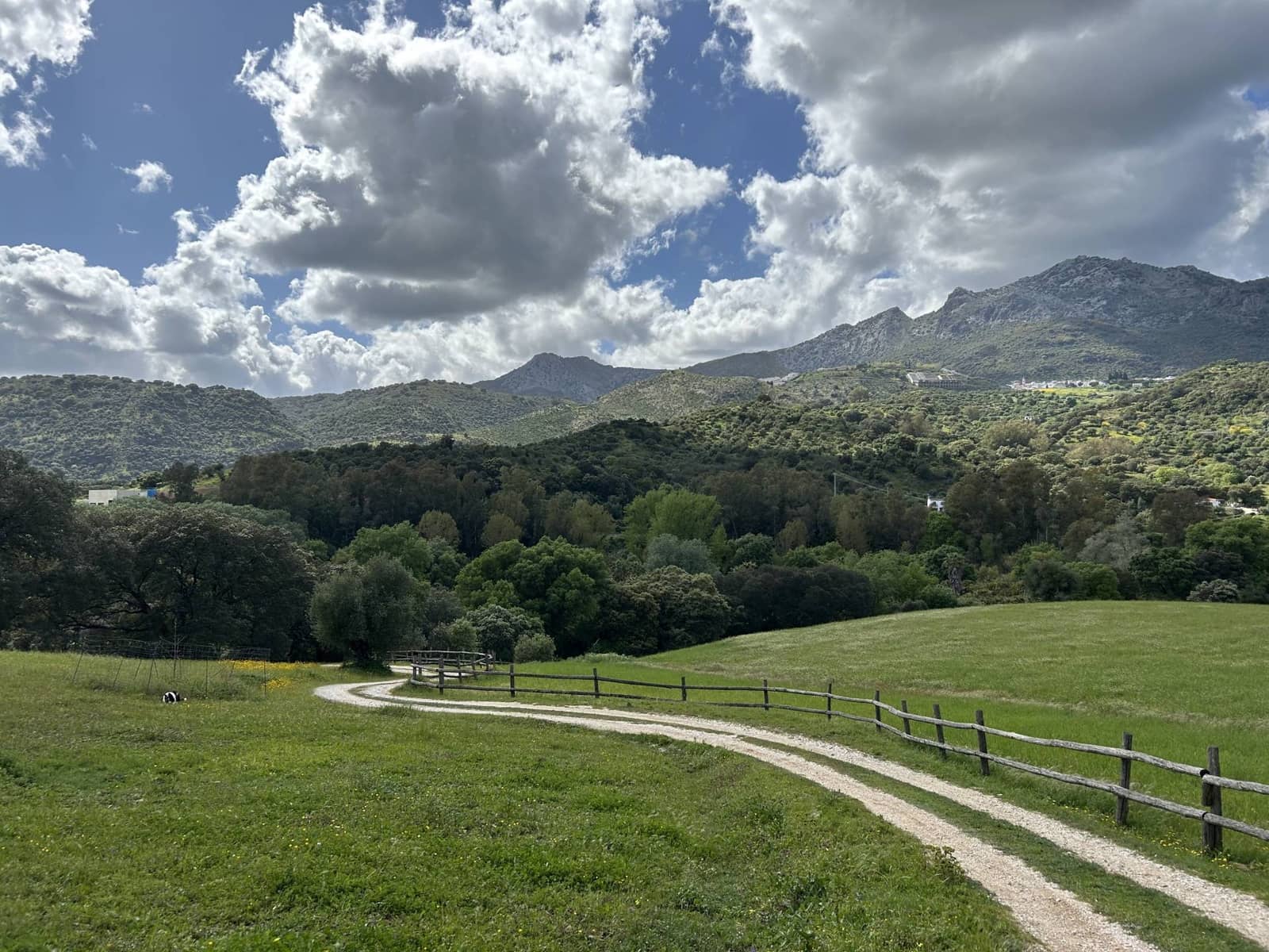 4 camera da letto Finca/Casa di Campagna in vendita in Gaucin con piscina - 3.950.000 € (Rif: 9392067)