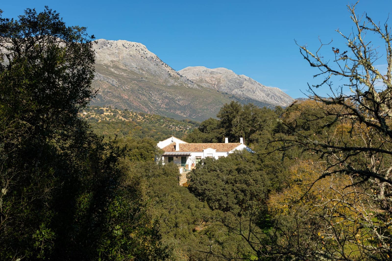 4 camera da letto Finca/Casa di Campagna in vendita in Gaucin con piscina - 3.950.000 € (Rif: 9392067)