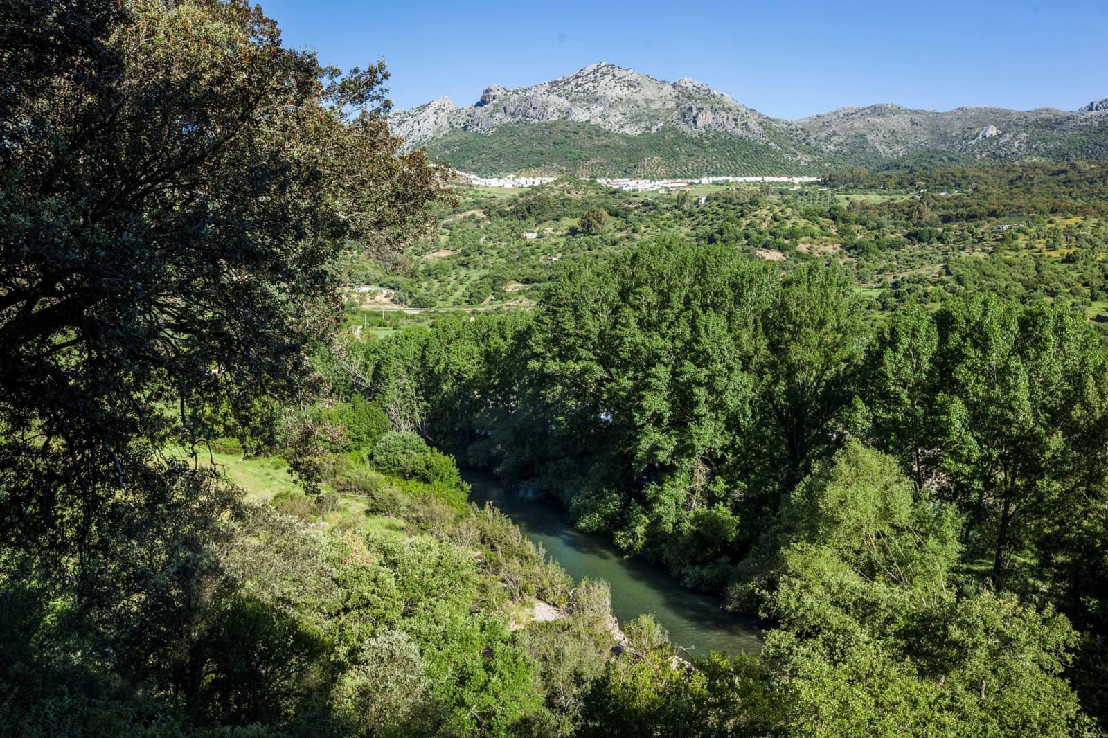 4 camera da letto Finca/Casa di Campagna in vendita in Gaucin con piscina - 3.950.000 € (Rif: 9392067)