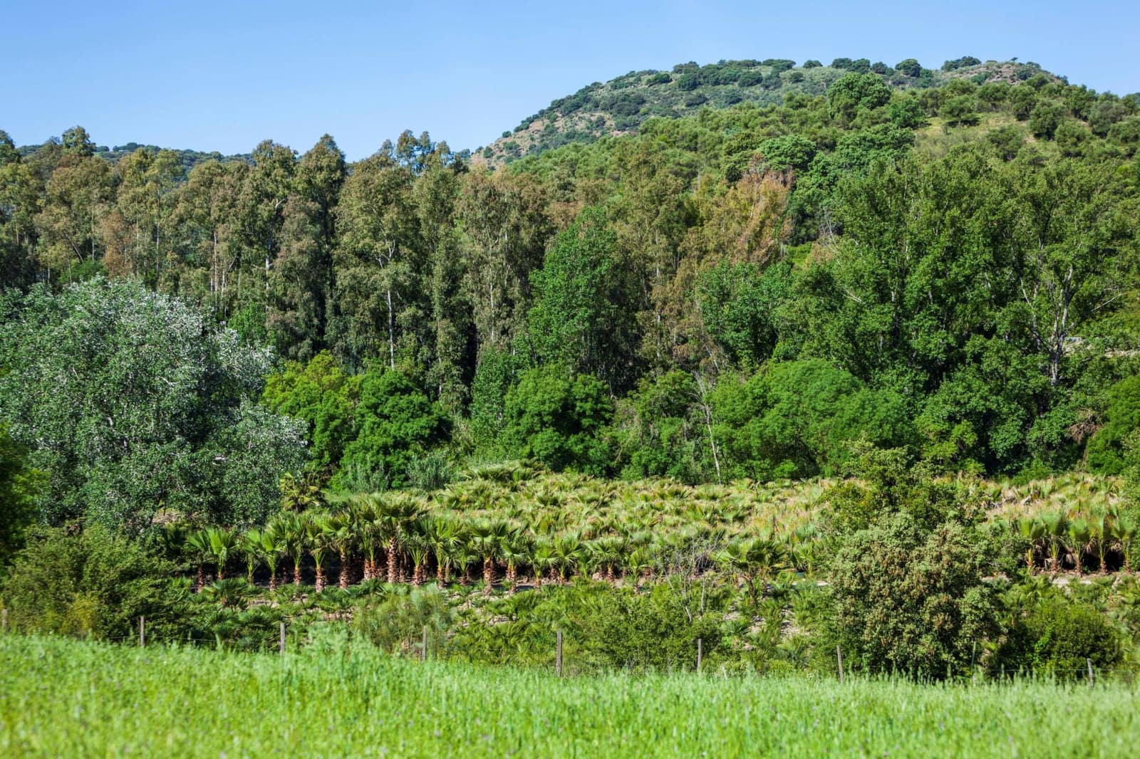 4 camera da letto Finca/Casa di Campagna in vendita in Gaucin con piscina - 3.950.000 € (Rif: 9392067)