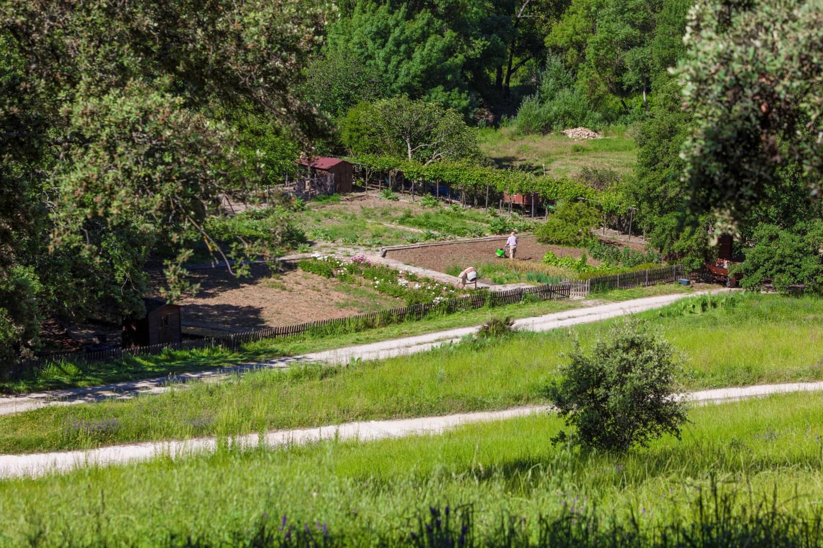 4 camera da letto Finca/Casa di Campagna in vendita in Gaucin con piscina - 3.950.000 € (Rif: 9392067)