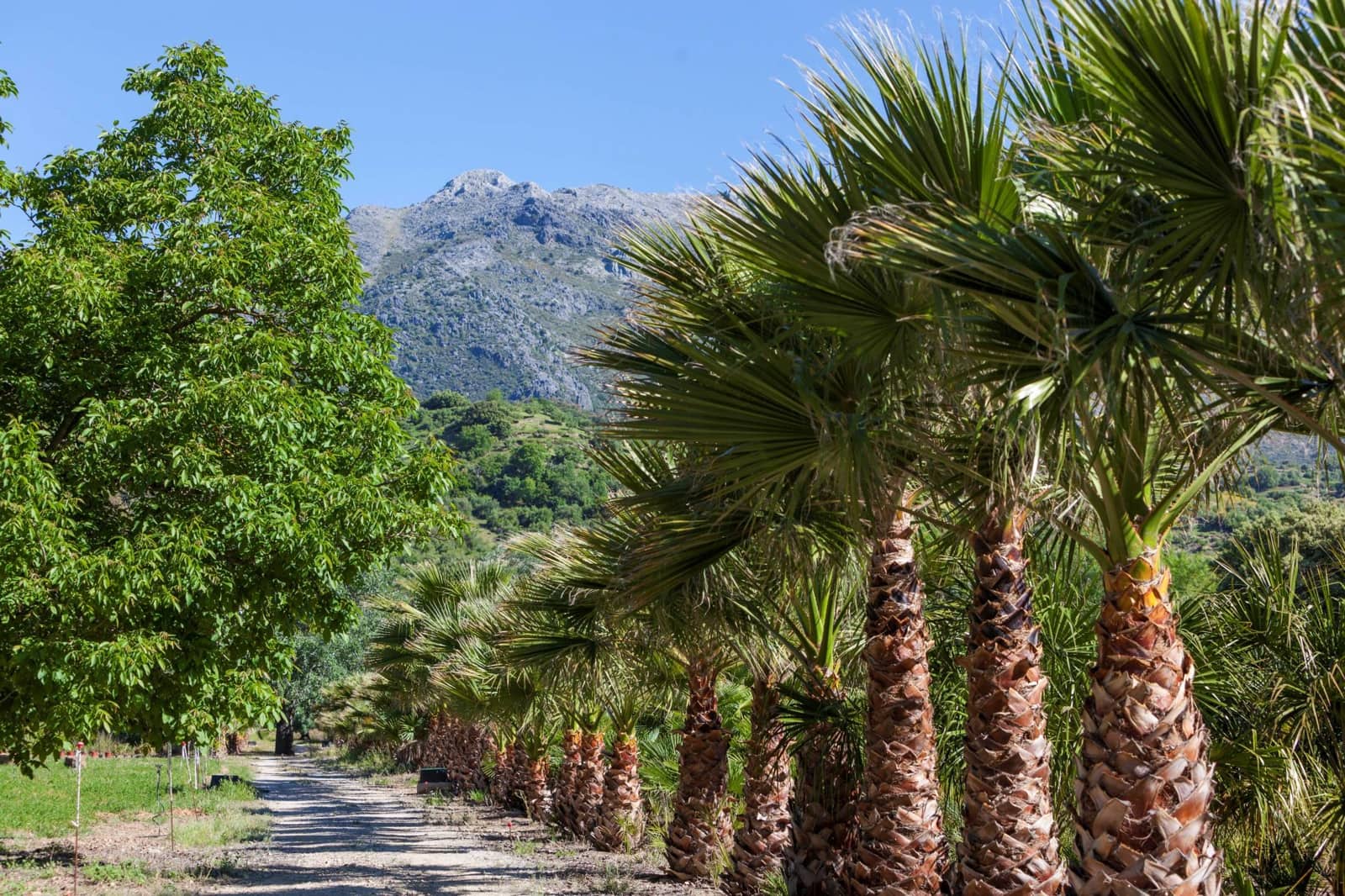 4 camera da letto Finca/Casa di Campagna in vendita in Gaucin con piscina - 3.950.000 € (Rif: 9392067)