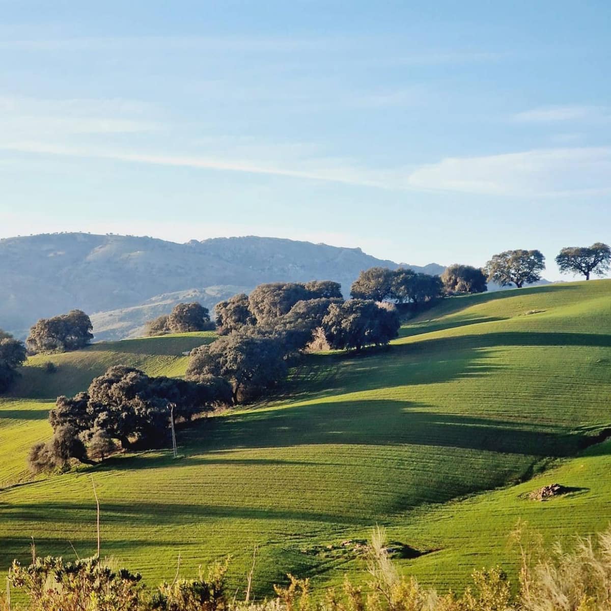 10 bedroom Finca/Country House for sale in Ronda with pool - € 2,200,000 (Ref: 9451502)