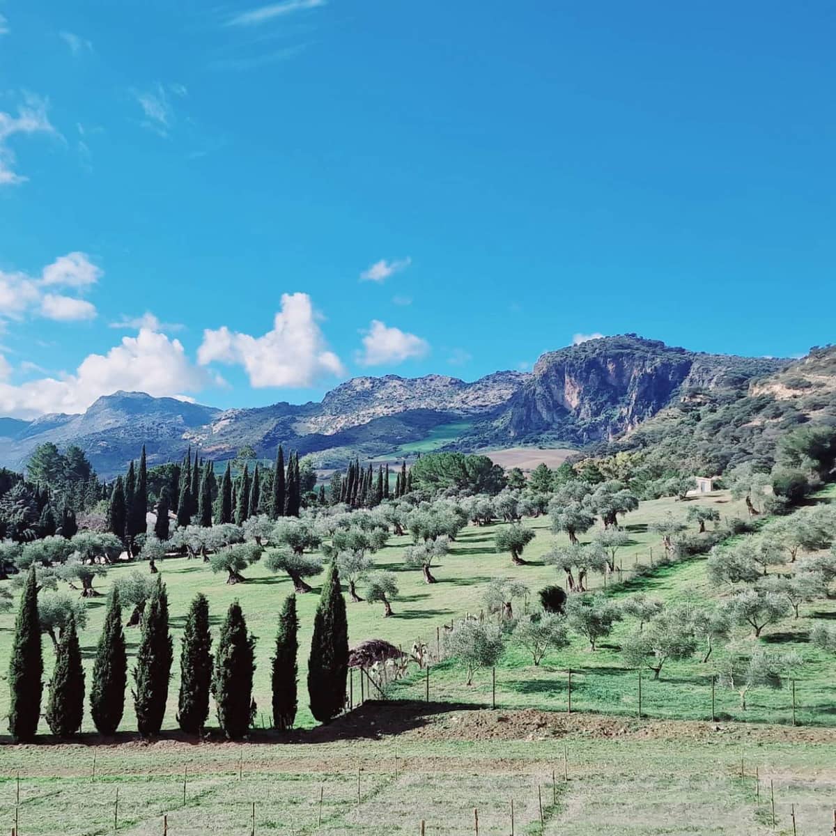 10 bedroom Finca/Country House for sale in Ronda with pool - € 2,200,000 (Ref: 9451502)