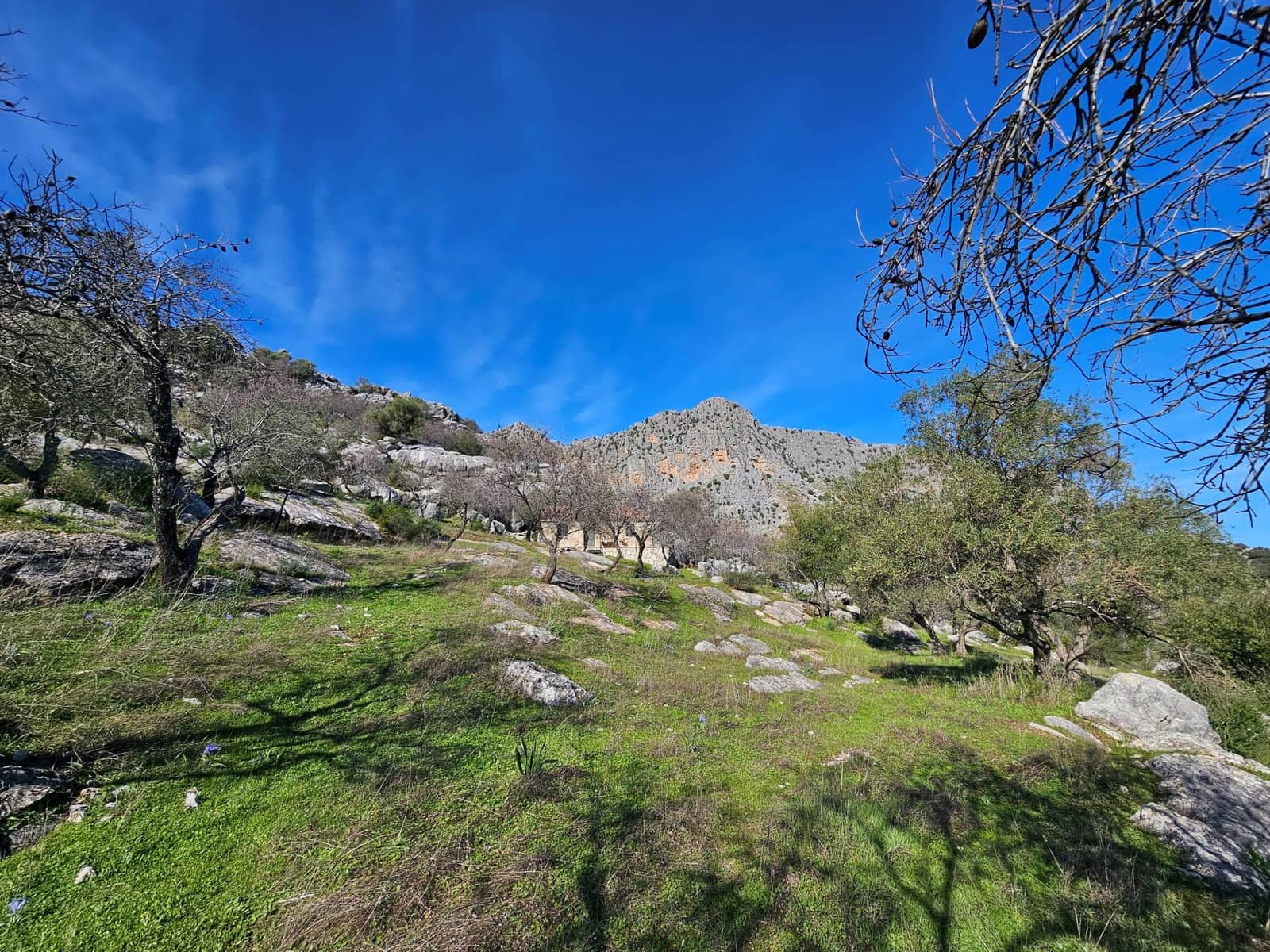 6 soveværelse Finca/Landehus til salg i Montejaque - € 495.000 (Ref: 9537021)