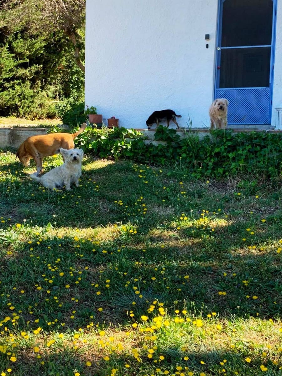 4 soveværelse Finca/Landehus til salg i Casares med swimmingpool - € 750.000 (Ref: 9638103)