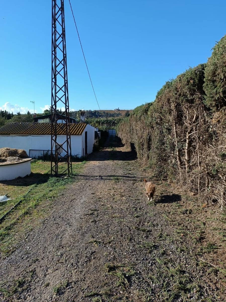 4 soveværelse Finca/Landehus til salg i Casares med swimmingpool - € 750.000 (Ref: 9638103)