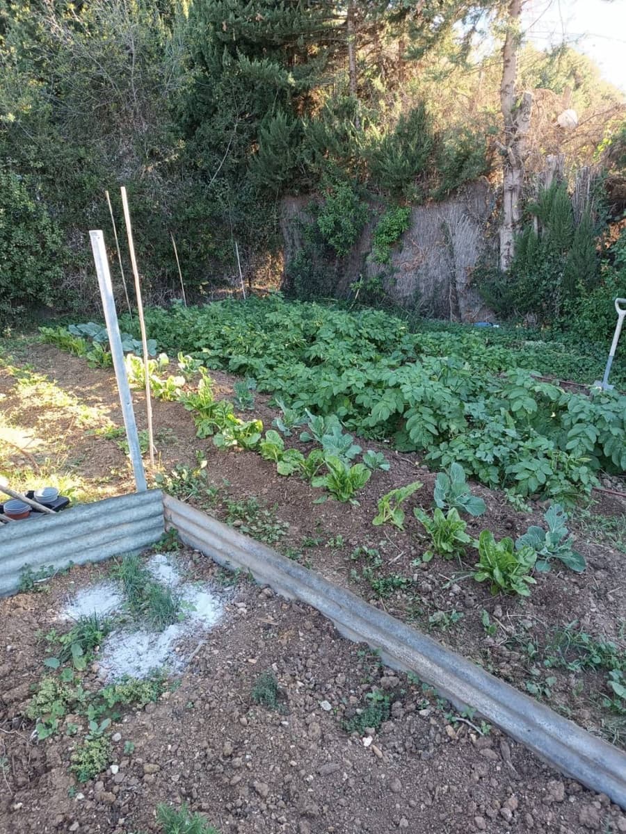 4 soveværelse Finca/Landehus til salg i Casares med swimmingpool - € 750.000 (Ref: 9638103)