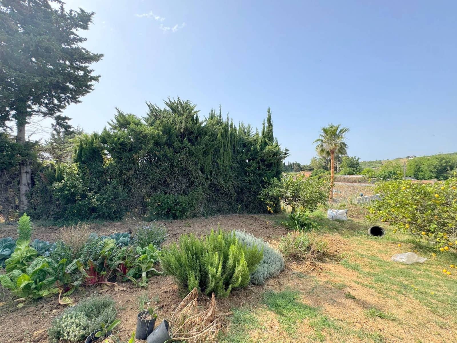 4 soveværelse Finca/Landehus til salg i Casares med swimmingpool - € 750.000 (Ref: 9638103)