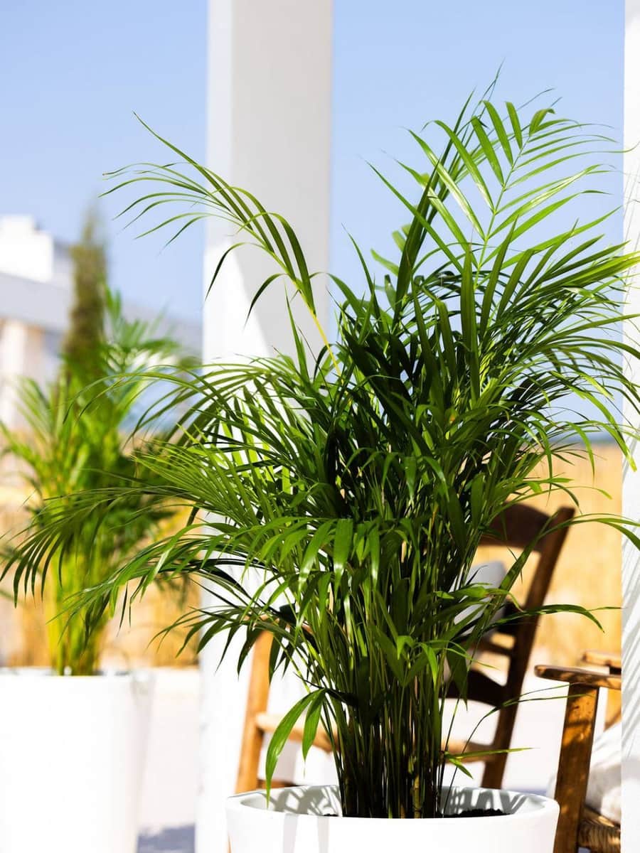 3 camera da letto Villa in vendita in Estepona con piscina - 1.395.000 € (Rif: 9676438)