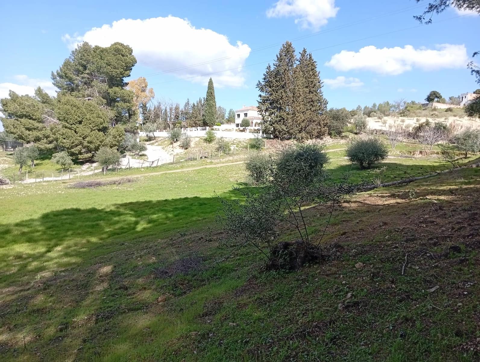 3 bedroom Finca/Country House for sale in Arriate with pool - € 520,000 (Ref: 9696871)