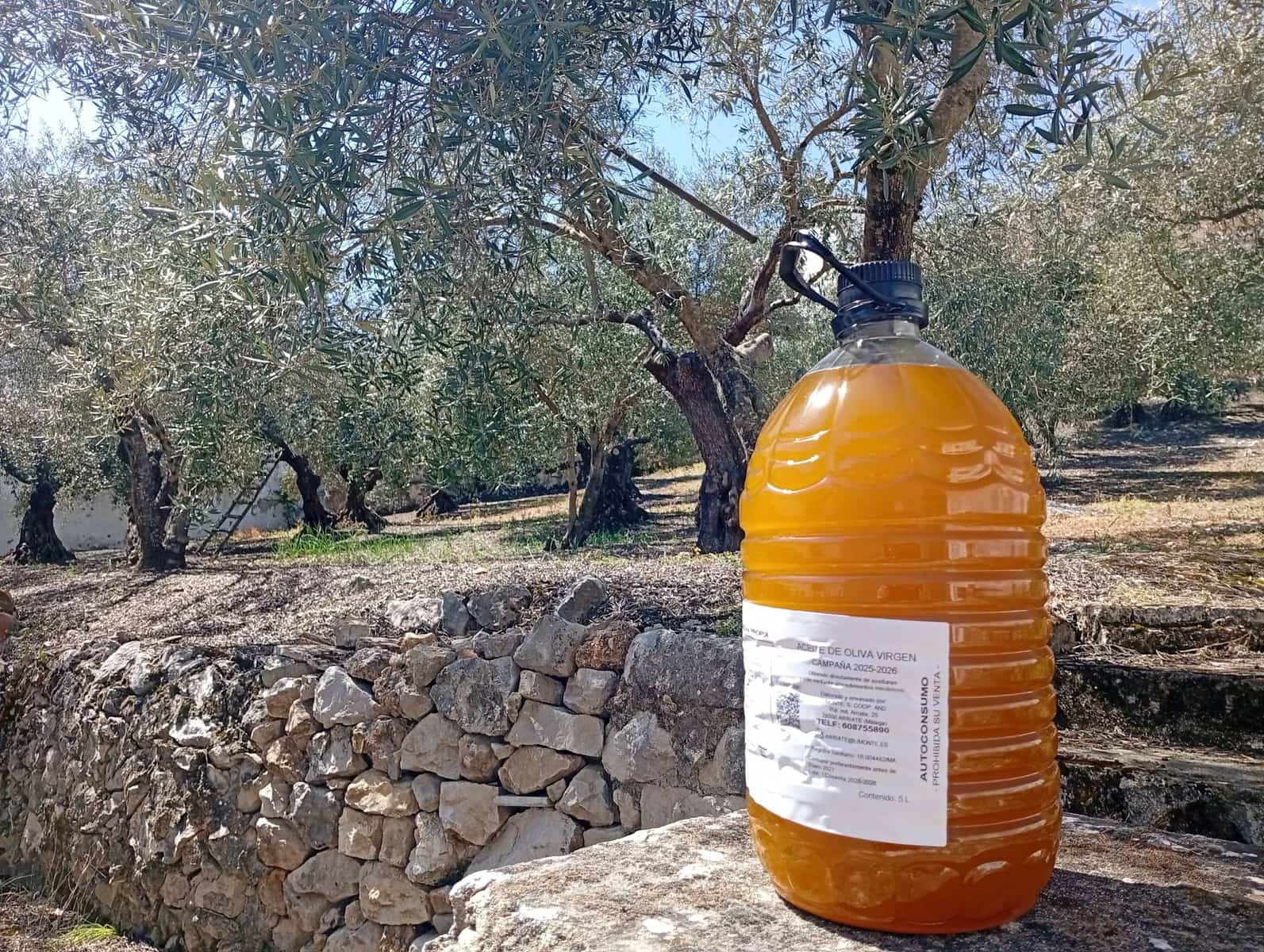 6 bedroom Villa for sale in Montejaque - € 185,000 (Ref: 9733376)