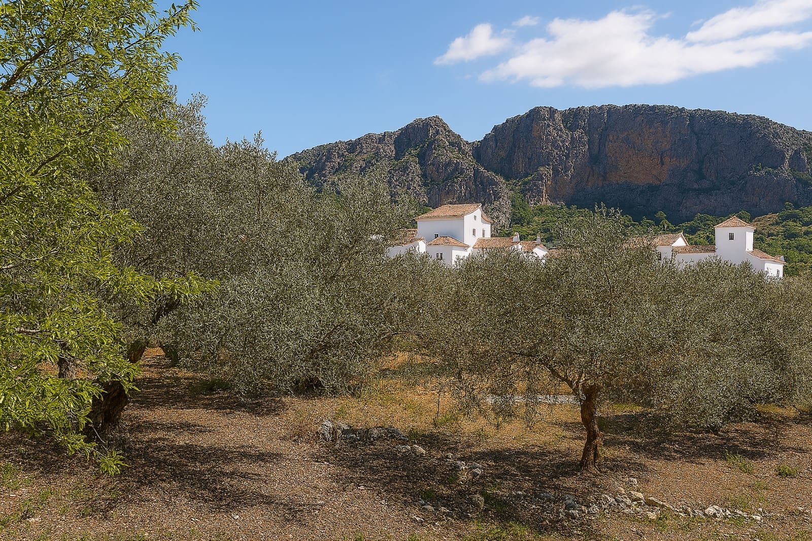 6 bedroom Villa for sale in Montejaque - € 185,000 (Ref: 9733376)