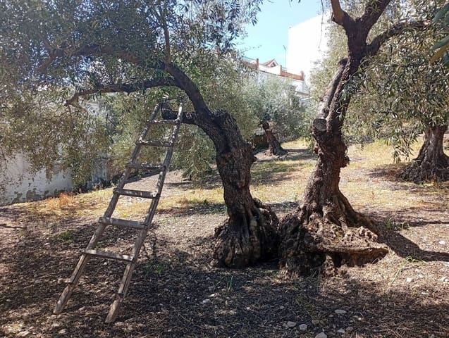 6 slaapkamer Villa te koop in Montejaque - € 185.000 (Ref: 9733376)