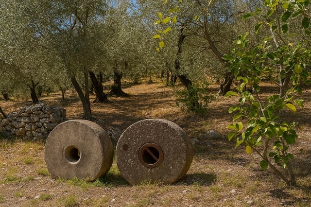 6 slaapkamer Villa te koop in Montejaque - € 185.000 (Ref: 9733376)