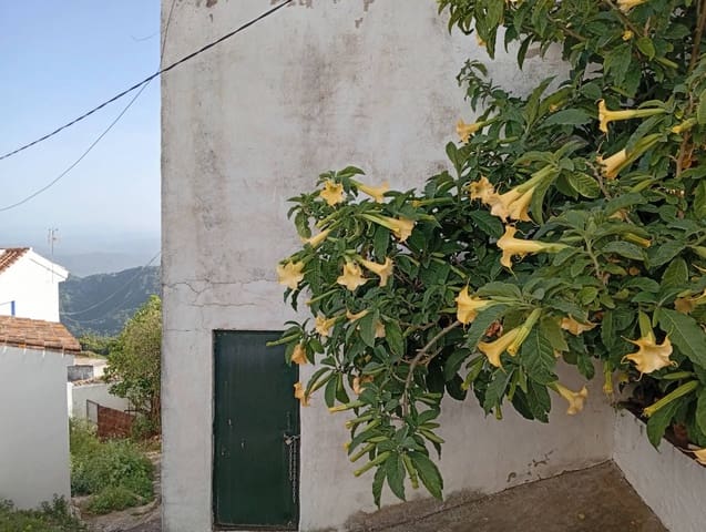 Garage for sale in Gaucín - € 65,000 (Ref: 9826029)
