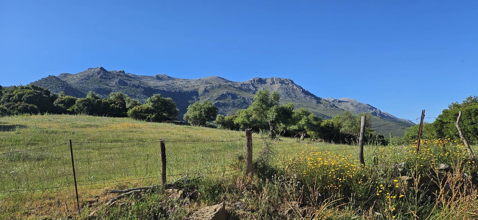 Terreno Não Urbanizado para venda em Cortes de la Frontera - 190 000 € (Ref: 9857781)
