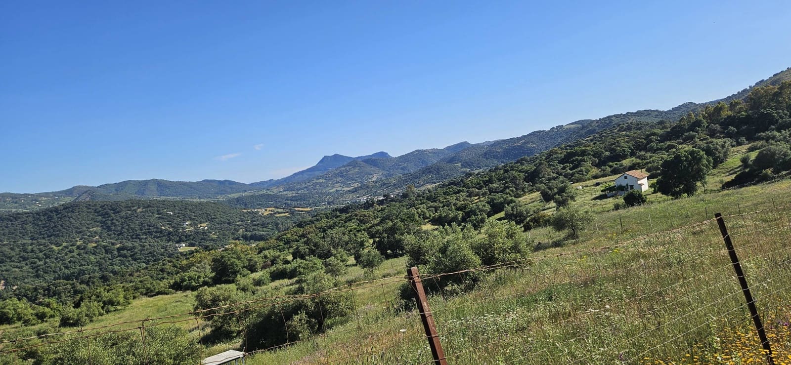 Terreno Não Urbanizado para venda em Cortes de la Frontera - 190 000 € (Ref: 9857781)