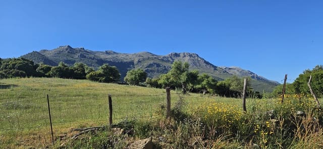 Terreno Não Urbanizado para venda em Cortes de la Frontera - 190 000 € (Ref: 9857781)