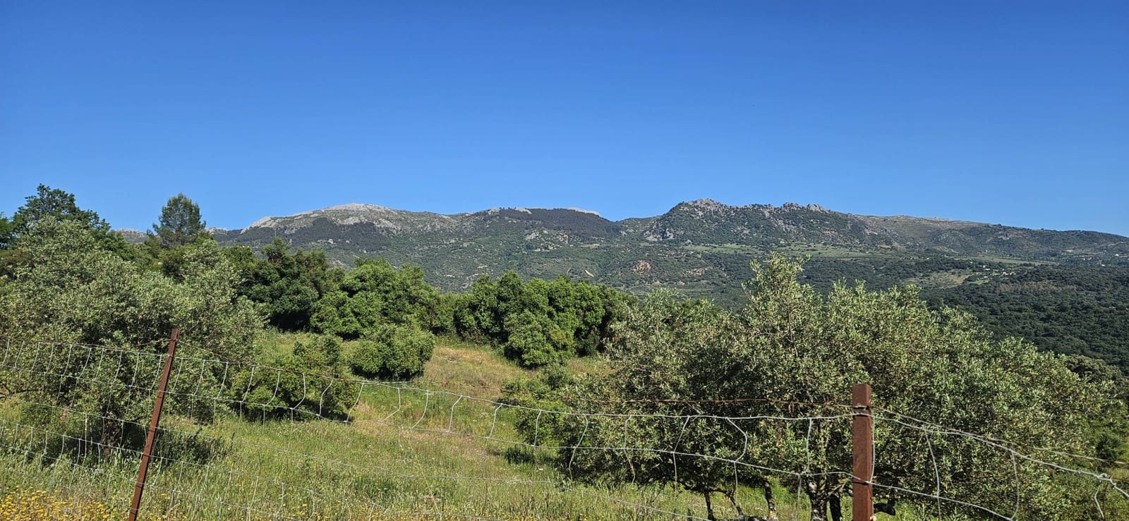 Terreno Não Urbanizado para venda em Cortes de la Frontera - 190 000 € (Ref: 9857781)