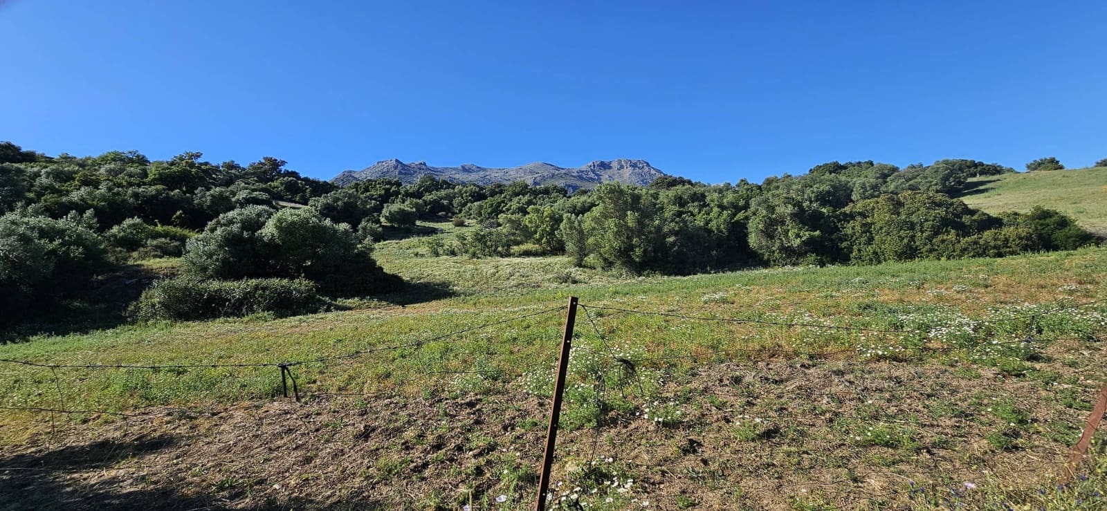 Terreno Não Urbanizado para venda em Cortes de la Frontera - 190 000 € (Ref: 9857781)