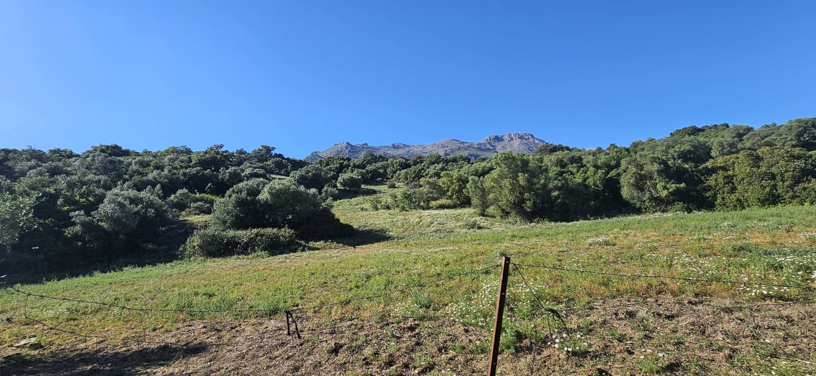 Terreno Não Urbanizado para venda em Cortes de la Frontera - 190 000 € (Ref: 9857781)