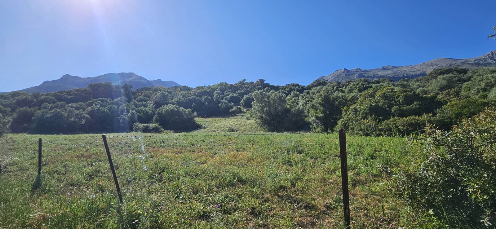 Terreno Não Urbanizado para venda em Cortes de la Frontera - 190 000 € (Ref: 9857781)
