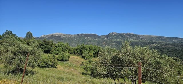 Terreno Não Urbanizado para venda em Cortes de la Frontera - 190 000 € (Ref: 9857781)