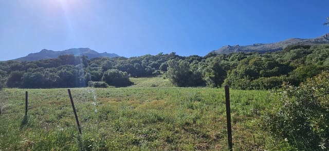 Terreno Não Urbanizado para venda em Cortes de la Frontera - 190 000 € (Ref: 9857781)