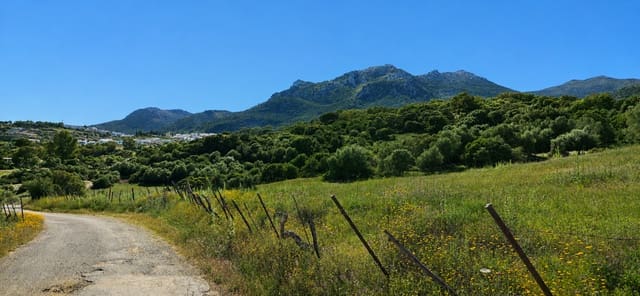 Terreno Não Urbanizado para venda em Cortes de la Frontera - 190 000 € (Ref: 9857781)