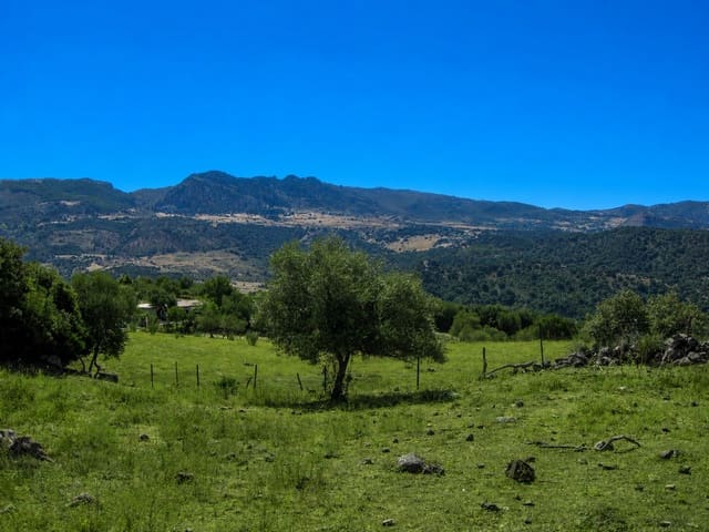 Terreno Não Urbanizado para venda em Cortes de la Frontera - 190 000 € (Ref: 9857781)
