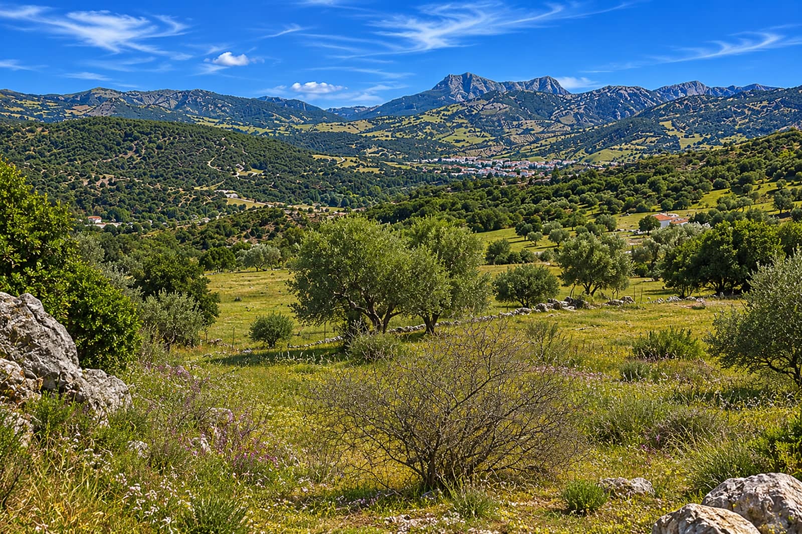 Terreno Não Urbanizado para venda em Cortes de la Frontera - 190 000 € (Ref: 9857781)