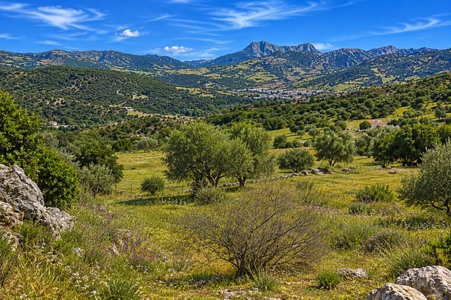 Terreno Não Urbanizado para venda em Cortes de la Frontera - 190 000 € (Ref: 9857781)