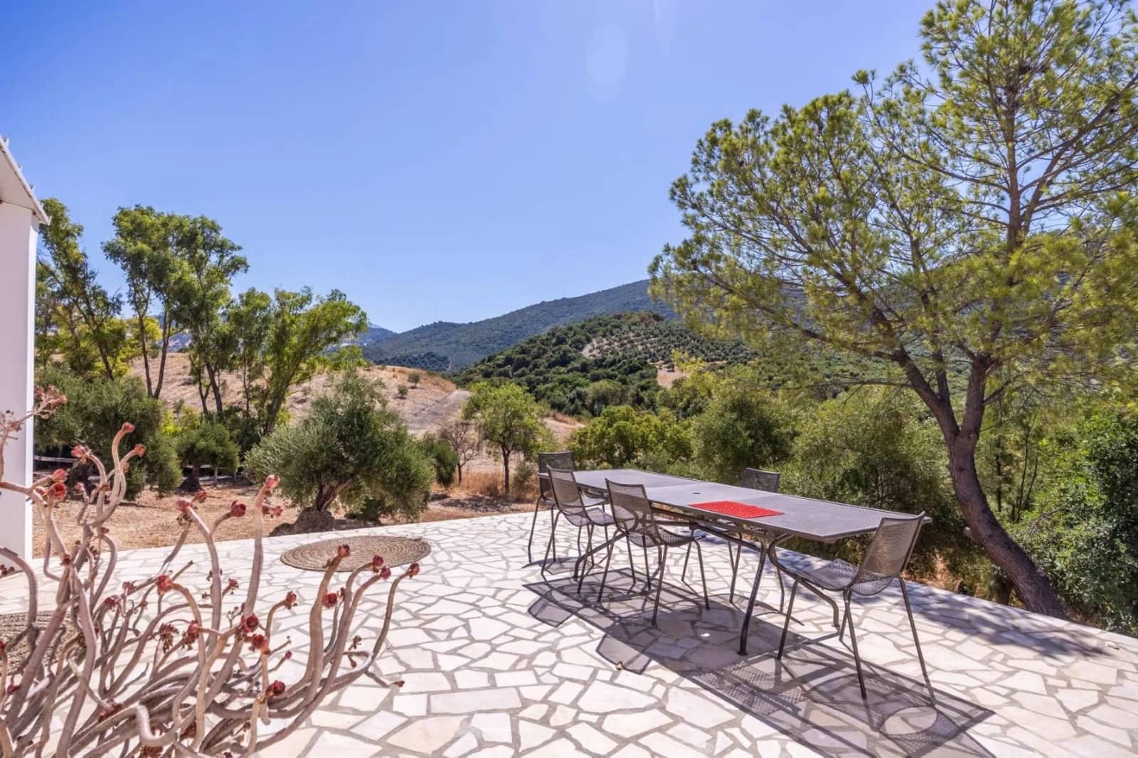 9 camera da letto Finca/Casa di Campagna in vendita in Villamartin con piscina - 2.227.000 € (Rif: 9874173)