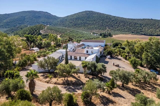9 camera da letto Finca/Casa di Campagna in vendita in Villamartín con piscina - 2.227.000 € (Rif: 9874173)