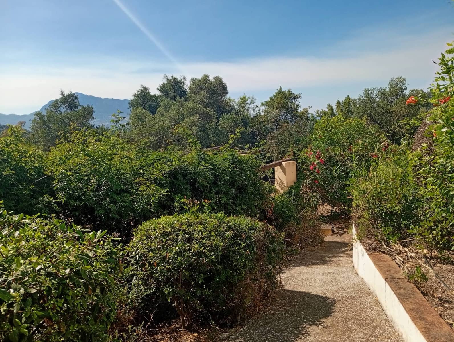 2 camera da letto Finca/Casa di Campagna in vendita in Gaucin con piscina - 675.000 € (Rif: 9893061)