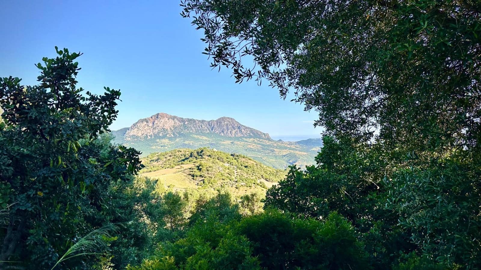 Terre non Aménagée à vendre à Gaucin - 250 000 € (Ref: 9923041)