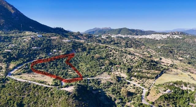 Terre non Aménagée à vendre à Gaucín - 250 000 € (Ref: 9923041)