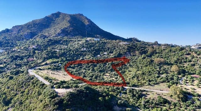 Terre non Aménagée à vendre à Gaucín - 250 000 € (Ref: 9923041)