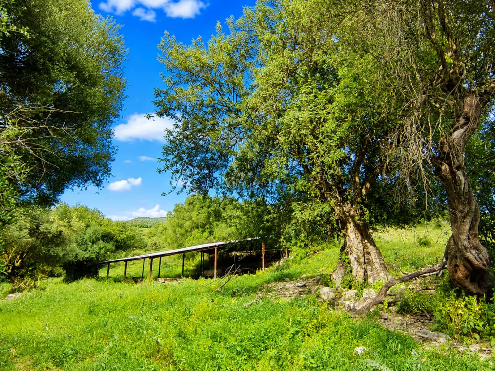 2 bedroom Finca/Country House for sale in Gaucin - € 850,000 (Ref: 9935403)