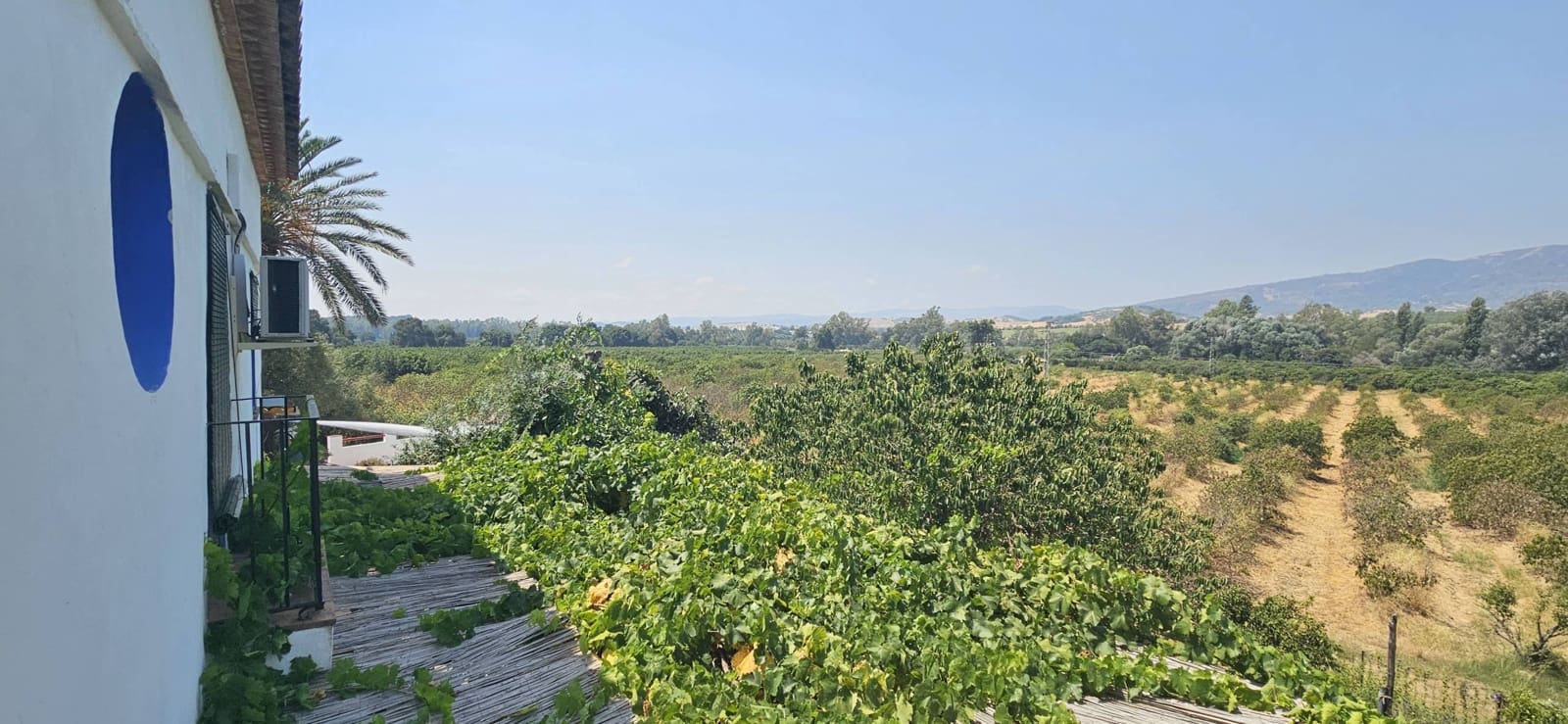 4 sovrum Finca/Hus på landet till salu i San Pablo de Buceite med pool - 750 000 € (Ref: 9984181)