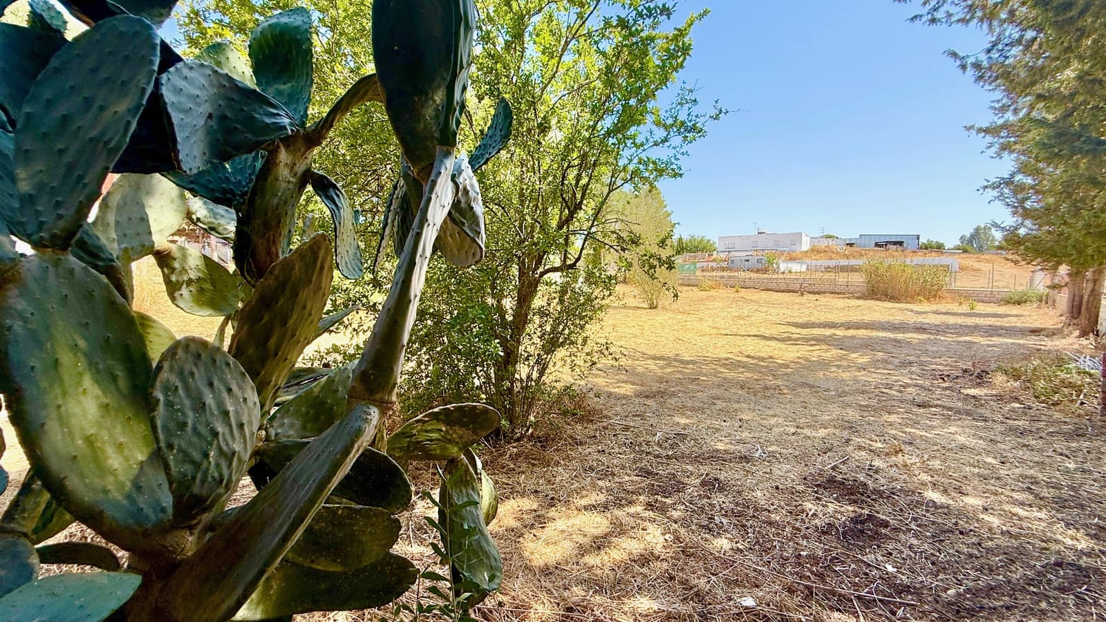 3 bedroom Villa for sale in Medina-Sidonia with pool garage - € 319,950 (Ref: 9177794)