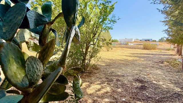 3 soveværelse Villa til salg i Medina-Sidonia med swimmingpool garage - € 319.950 (Ref: 9177794)