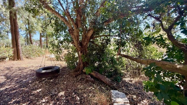 3 soveværelse Villa til salg i Medina-Sidonia med swimmingpool garage - € 319.950 (Ref: 9177794)