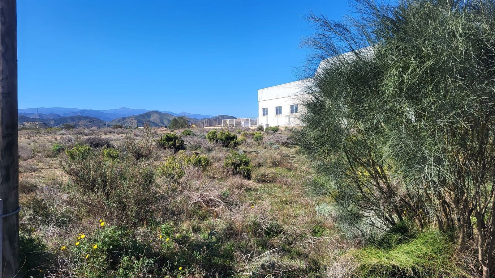 Undeveloped Land for sale in Albox - € 135,000 (Ref: 7847841)