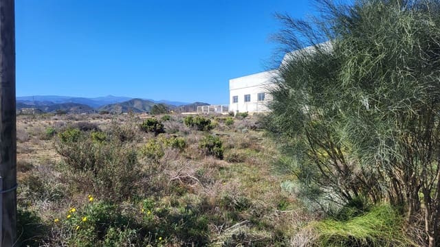 Terreno Non Edificato in vendita in Albox - 135.000 € (Rif: 7847841)