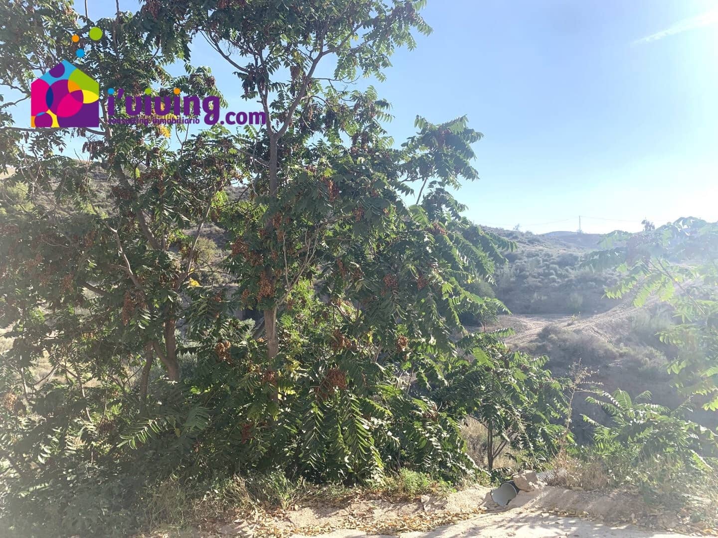 5 sypialnia Finka/Dom wiejski na sprzedaż w Oria z garażem - 140 000 € (Ref: 7847892)