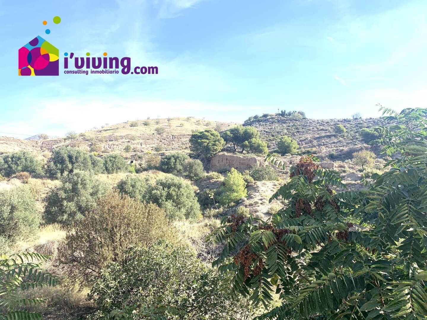 5 sypialnia Finka/Dom wiejski na sprzedaż w Oria z garażem - 140 000 € (Ref: 7847892)