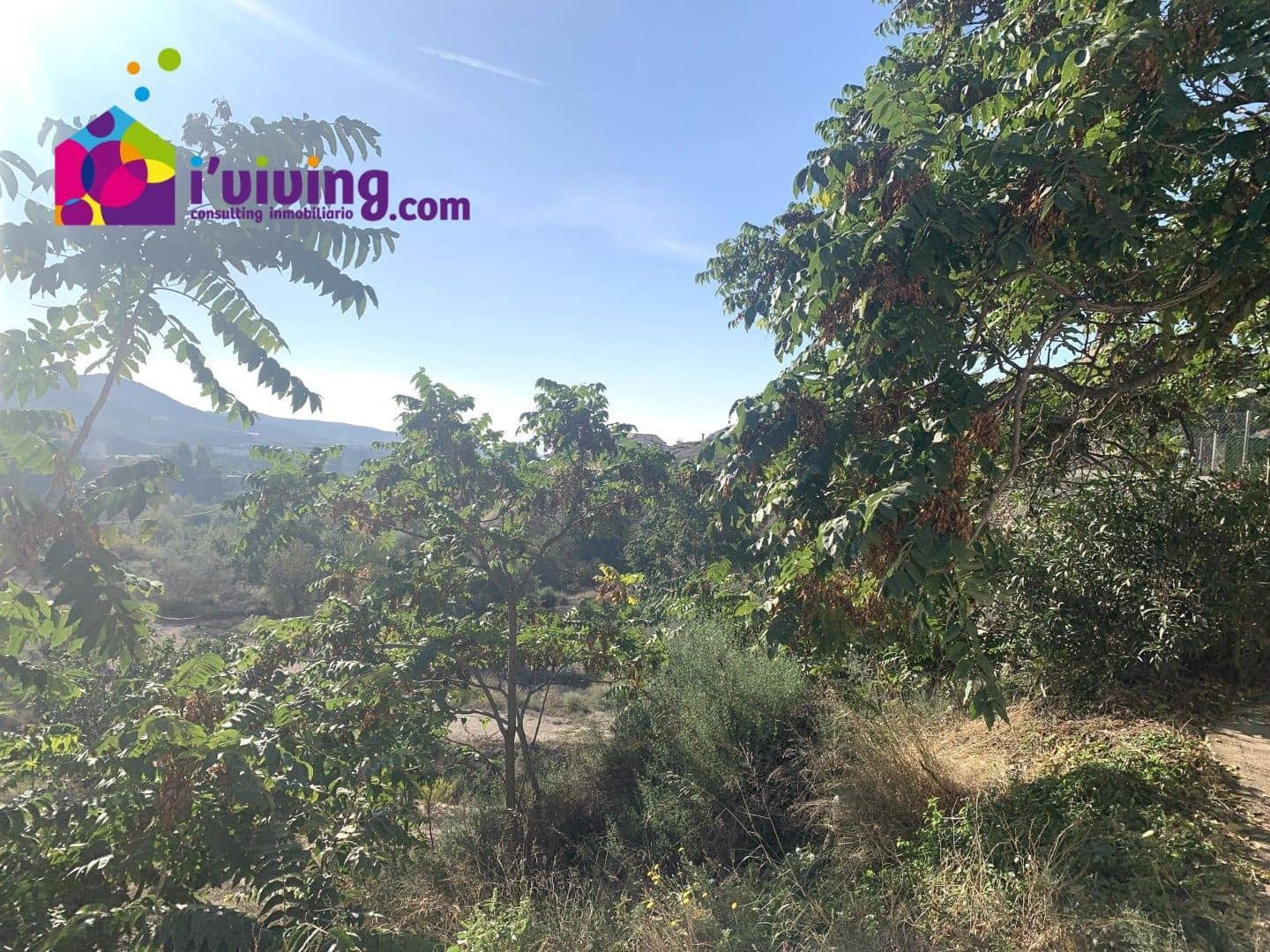 Grunde uden byggetilladelser til salg i Oria - € 140.000 (Ref: 7847892)